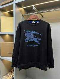 Picture of Burberry Sweatshirt _SKUBurberryS-2XLaztx874931001